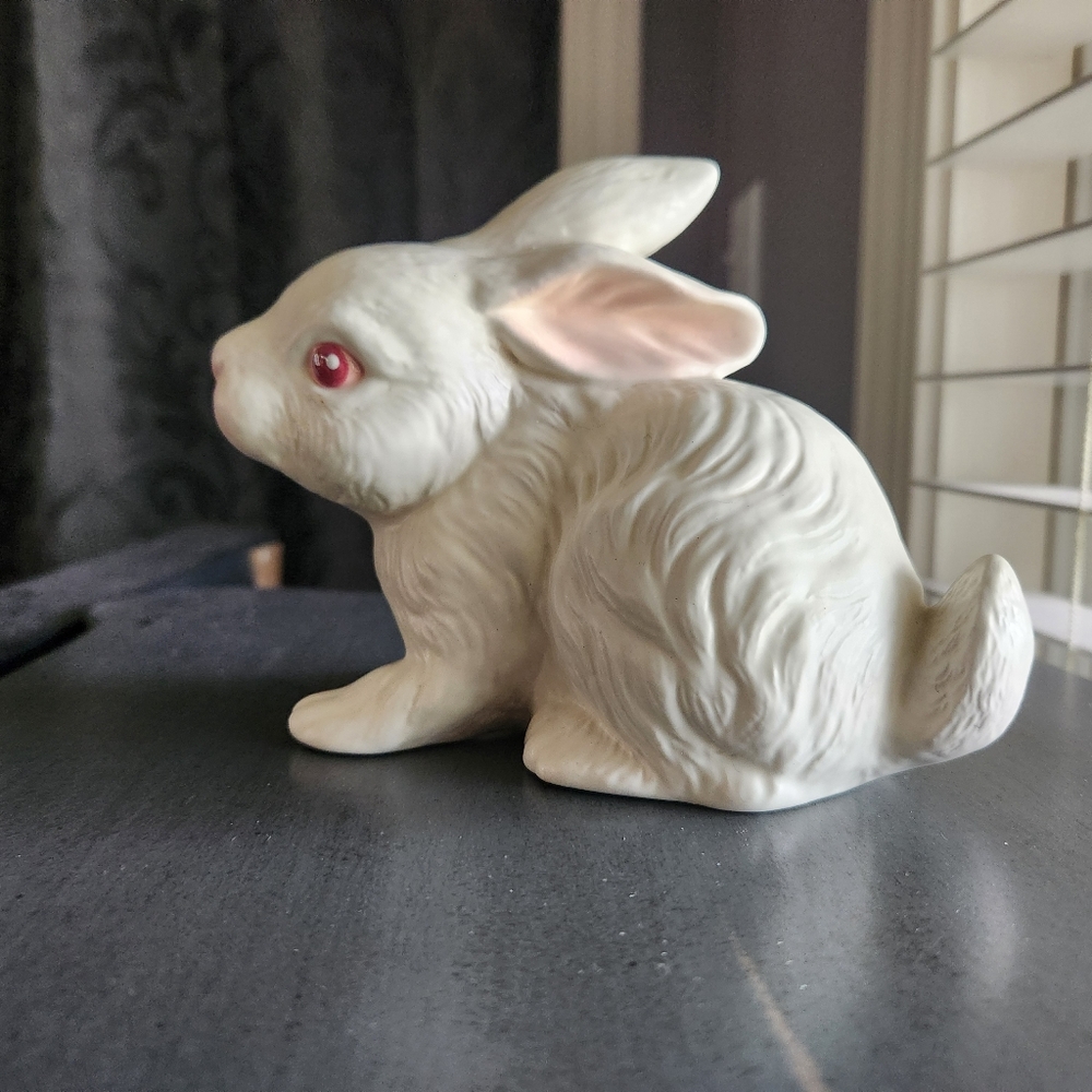 White Rabbit